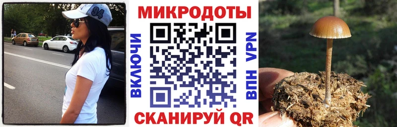 Галлюциногенные грибы Psilocybine cubensis  закладки  Отрадное 